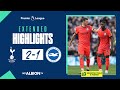 Extended PL Highlights: Spurs 2 Albion 1