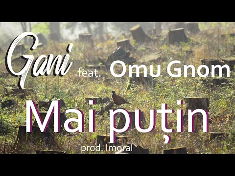 Gani feat. Omu Gnom - Mai puțin (VISUALIZER)