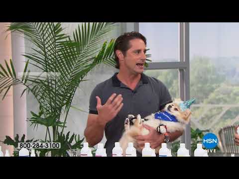 HSN | Pet Solutions featuring Royal Treatment Anniversary 08.14.2018 - 11 AM