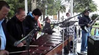 preview picture of video 'marimba ecos del sur en san jose de iturvide con el tema el gallito'