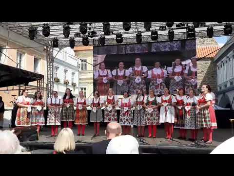 Chodské slavnosti 10.8.2025 Canzonetta Domažlice - Chodíl sem mnoho let IMG 0067