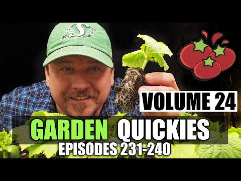 How To Grow Cucumbers Part 1 Seeding