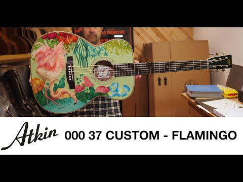 Atkin Guitars & Ian award - Flamingo Painted Acoustic Guitar