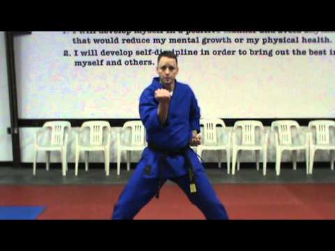 Learn the basic karate blocks in this video.