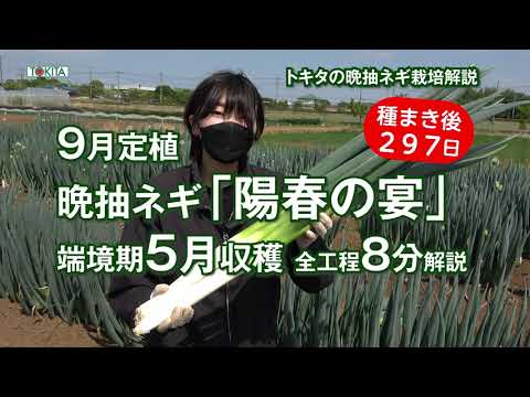 春に良いスタートを切るために、キョウチクトウにいつ肥料を与えればよいでしょうか?なんの天然肥料？  庭園