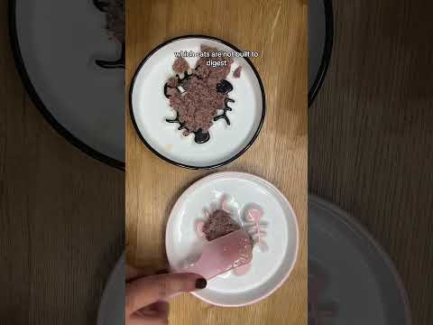 What I feed my cats and why you MAY BE FEEDING THEM DRY FOOD… #catfood #cattreats #catnutrition