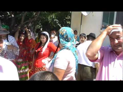 DENISA LIVE - SISTEMUL DIN BALCANI (CUZA VODA *EXCLUSIV*)