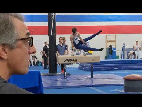 Ander Sutton - Pommel Horse 1/8/22