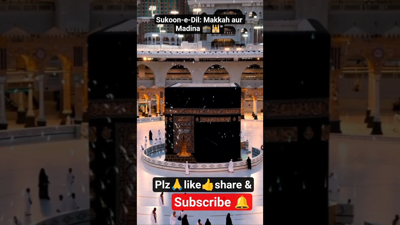 Badi Ummeed Hai Sarkar... 🕋🤲#shorts#viralshort#viralvideo #trending#islamicstatus#islamicvideo#naat