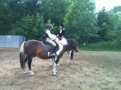 Springen linda und mephisto