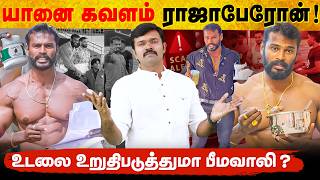 Download lagu யானைப் பலம் தருமா யானைக்கவளம் | உடற்பயிற்சியாளர் ராஜாபேரோன் சர்ச்சை பின்னணி |  mp3