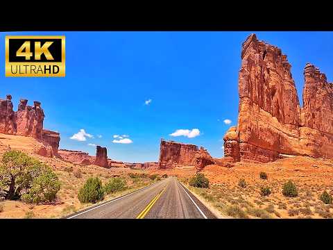 World of Drives and World of Walks