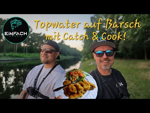 Topwater auf Barsch mit Catch & Cook - Einfach Angeln
