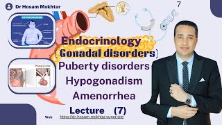 Endocrinology - Lecture 7 - Puberty disorders