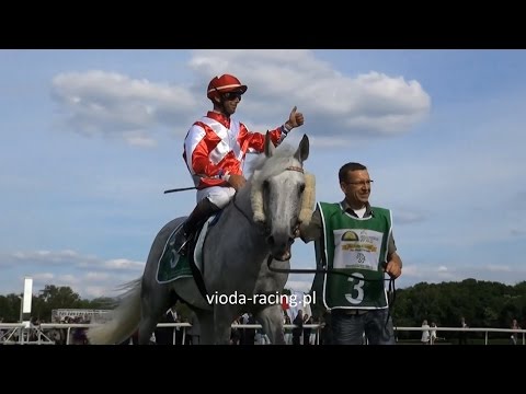 Sheikh Zayed Bin Sultan Al Nahyan International Cup - Nagroda Ofira - 31.05.2015 - Ameretto