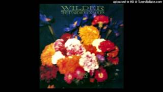 The Teardrop Explodes - Tiny Children