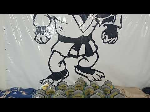 Taekwondo indiara-goias, troféus de homenagem 2025.2' Indiara open de taekwondo 
