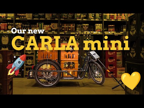 Remorque vélo mécanique professionnelle compacte et robuste - Capacité 200kg - Carla MINI compétition JHOG_4