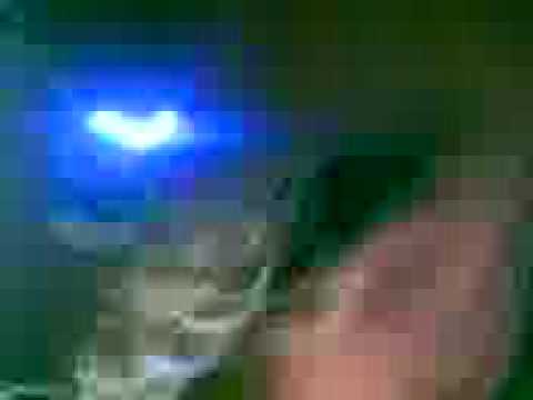 Eruca sativa en rio cuarto...