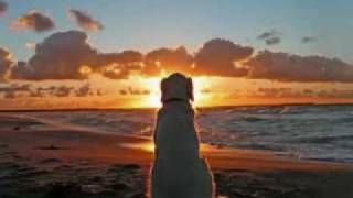 Porcupine Tree - Collapse the Light into Earth