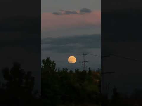 “The moon doesn’t beg the world to look at her. She shines regardless.” 🌞🌕🌝 #sunset #moon