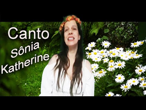Canto video