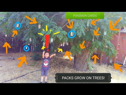 download lagu mp3 mp4 Cards That Grow, download lagu Cards That Grow gratis, unduh video klip Cards That Grow