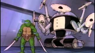 | great dane | betacat | daisy |