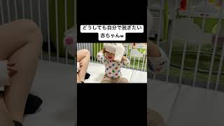 どうしても自分で脱ぎたい赤ちゃん #育児記録 #赤ちゃん #育児あるある #赤ちゃんのいる生活
