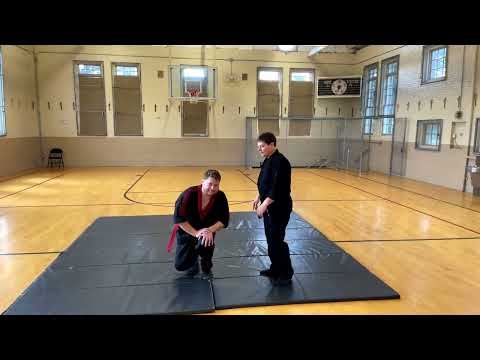 Seiyo-ryu Aikibujutsu Ganseki Nage