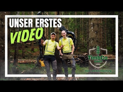 From idea to forestry company: The story of TimbCo GmbH (Part 1)
