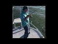 Giant Bull Red, SPI, DAVID GARZA