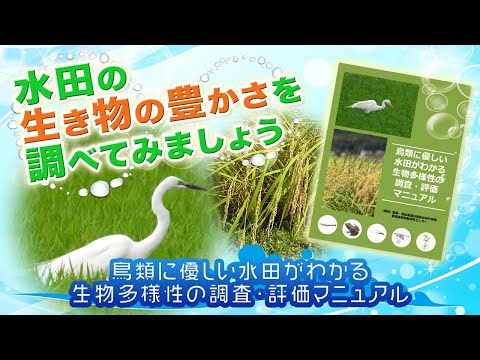 なぜ各庭にコマドリが 1 匹だけなのか、適切な餌箱を配置し、巣箱に給水器を配置します。