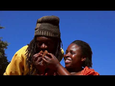 Tocky Vibes - Good Naye (Official Video)