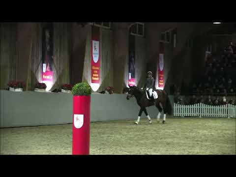 Eventyr - Hengstvorführung Adelheidsdorf 2023