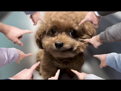 I HATE THE WAY THAT YOU WALK, THE WAY THAT YOU TALK!