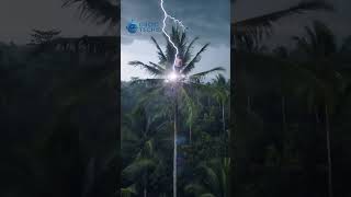 Download lagu 😱Detik-Detik Seorang Pria Tersambar Petir di Atas Pohon Kelapa mp3 Download lagu 😱Detik-Detik Seorang Pria Tersambar Petir di Atas Pohon Kelapa mp3