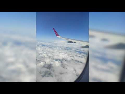 pe x młody waka (2019)