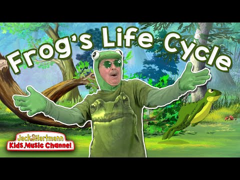 A Frog's Life Cycle | Metamorphosis Song for Kids! | Jack Hartmann