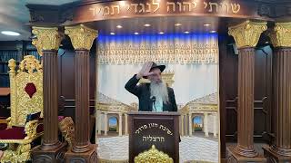 הרב מאיר דוד שמואלי - השיעור המרכזי פרשת לך לך תשפ"ו