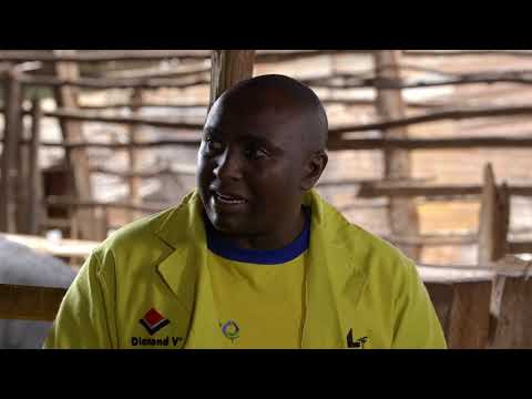 Shamba Shape Up Sn 9 - Ep 1: Dairy Cows, Capsicum, Farm Transport (Swahili)
