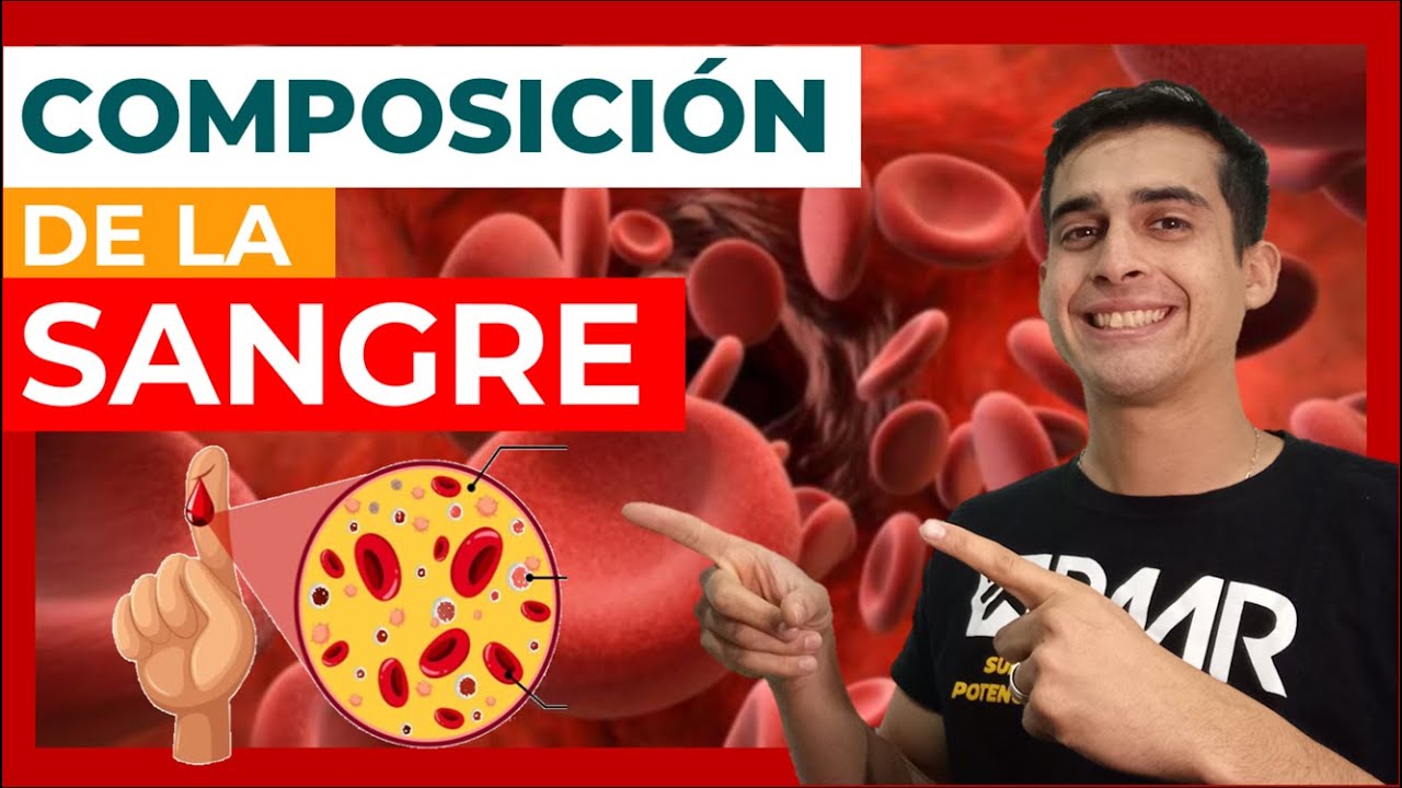COMPOSICIÓN DE LA SANGRE 🩸 (Fácil) Función - Fisiología