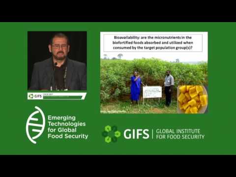 Advances in Plant Breeding for Combating Hidden Hunger by Eric Boy at  #GIFSconf2016