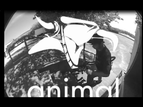 BMX - Hobie Doan - Animal Bikes