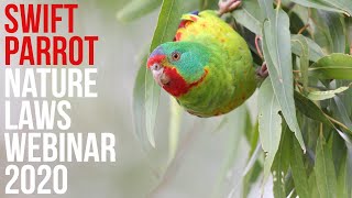Swift Parrot - Nature Laws Webinar 2020