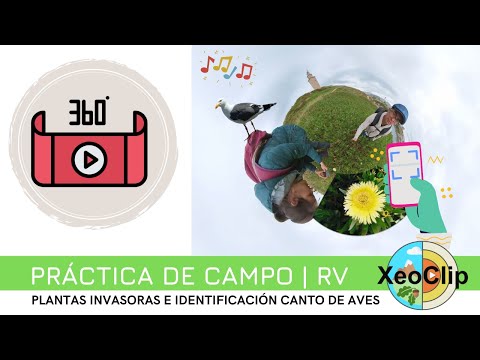 Vídeo: Identificación de plantas invasoras e canto de aves