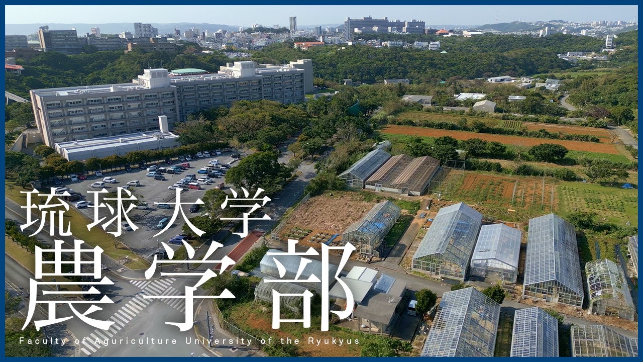 琉球大学農学部