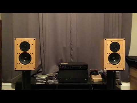 rockford punch 12 inch subwoofer