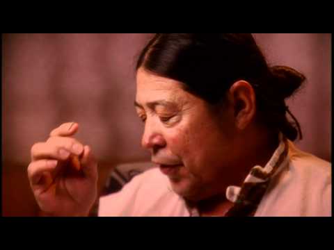 Patricio Dominguez: The high dose experience