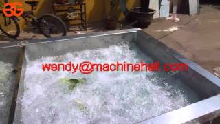 bubble type fruit and vegetable cleaner  price